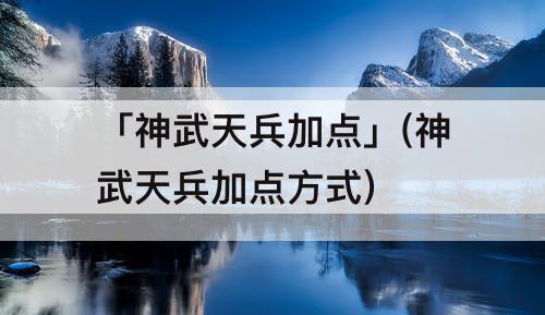「神武天兵加点」(神武天兵加点方式)
