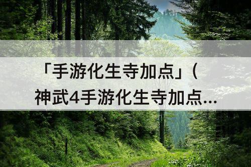 「手游化生寺加点」(神武4手游化生寺加点)