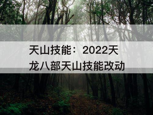 天山技能：2022天龙八部天山技能改动