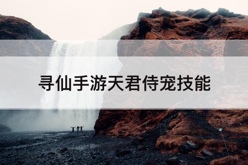 寻仙手游天君侍宠技能