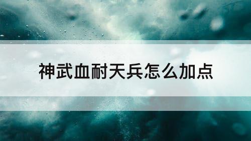 神武血耐天兵怎么加点
