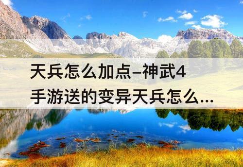 天兵怎么加点-神武4手游送的变异天兵怎么加点