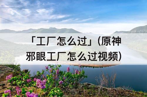 「工厂怎么过」(原神邪眼工厂怎么过视频)
