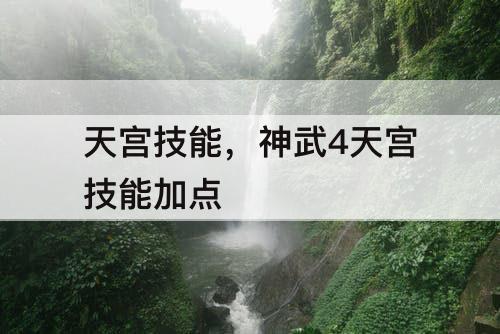 天宫技能，神武4天宫技能加点