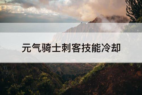 元气骑士刺客技能冷却