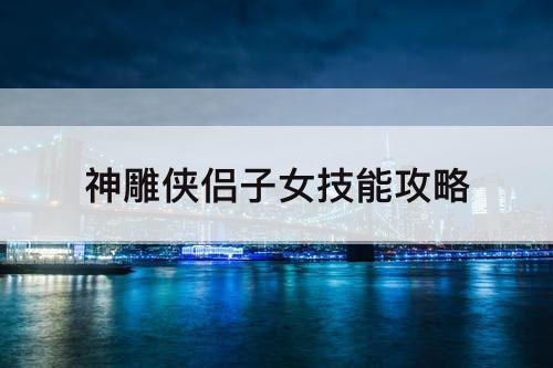 神雕侠侣子女技能攻略