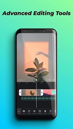 维达普viddup
