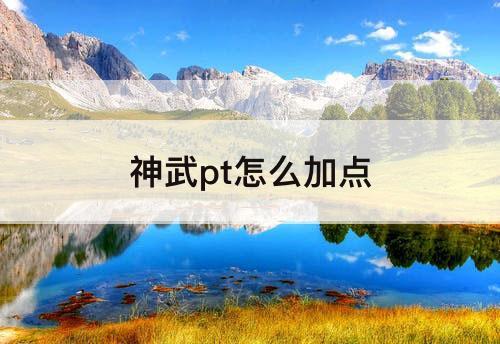 神武pt怎么加点