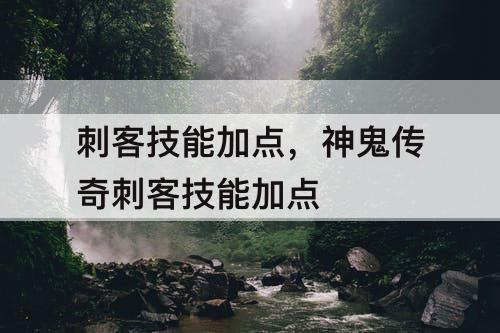 刺客技能加点，神鬼传奇刺客技能加点
