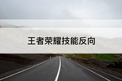 王者荣耀技能反向