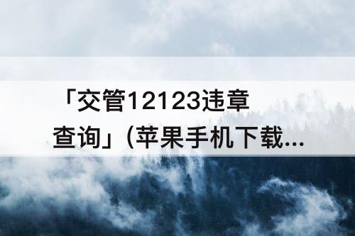 「交管12123违章查询」(苹果手机下载交管12123违章查询)