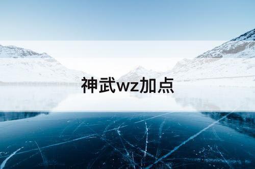 神武wz加点