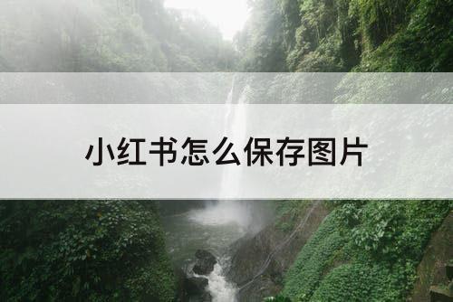 小红书怎么保存图片