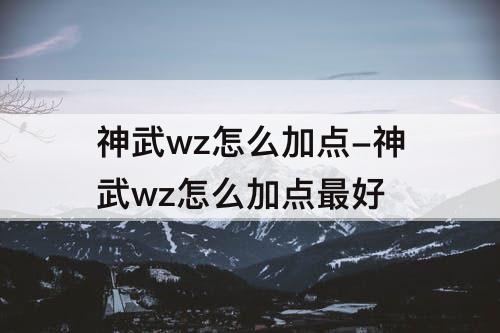 神武wz怎么加点-神武wz怎么加点最好