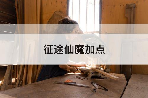 征途仙魔加点