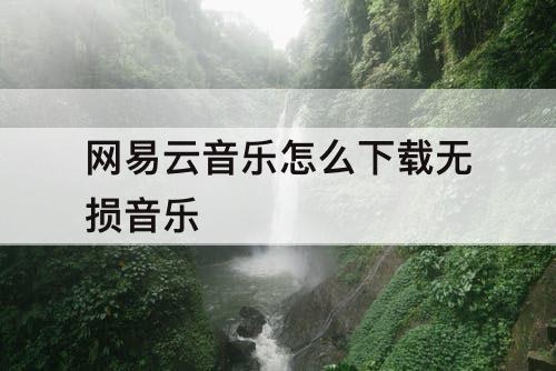 网易云音乐怎么下载无损音乐