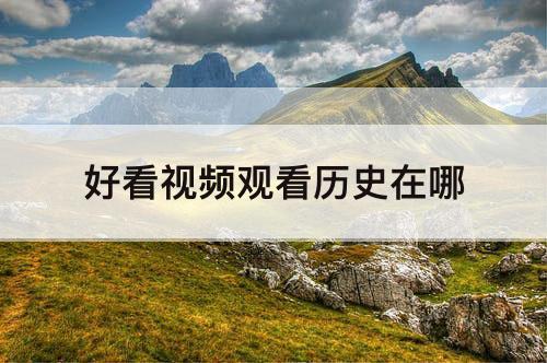 好看视频观看历史在哪