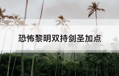 恐怖黎明双持剑圣加点