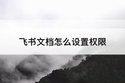 飞书文档怎么设置权限