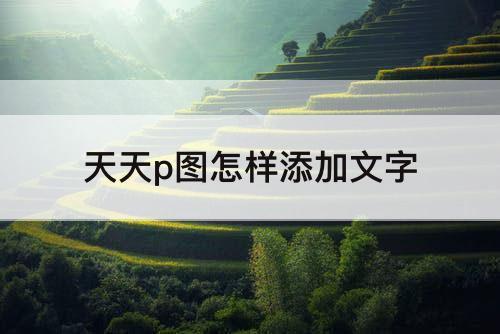 天天p图怎样添加文字