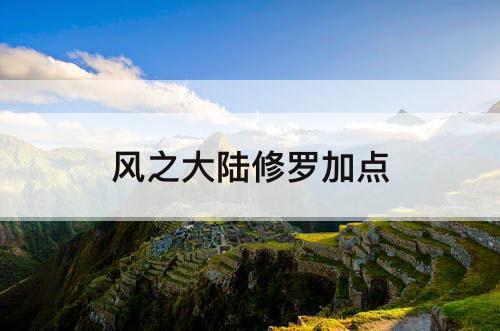 风之大陆修罗加点