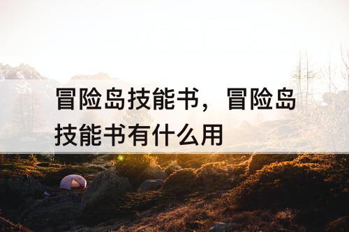 冒险岛技能书，冒险岛技能书有什么用