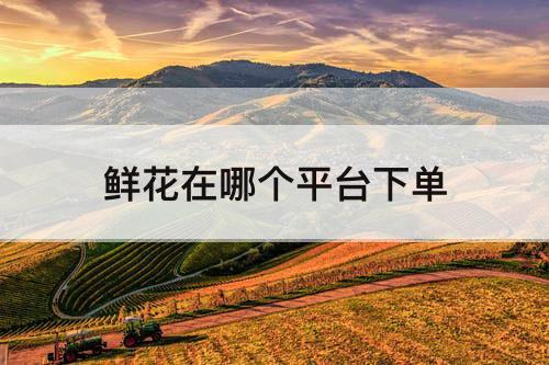 鲜花在哪个平台下单