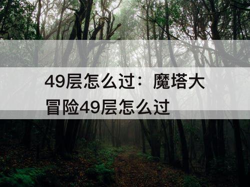 49层怎么过：魔塔大冒险49层怎么过