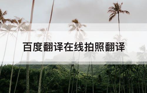 百度翻译在线拍照翻译