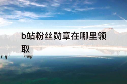 b站粉丝勋章在哪里领取