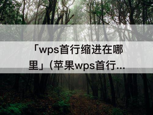 「wps首行缩进在哪里」(苹果wps首行缩进在哪里)