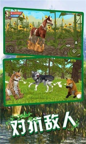 狼王狩猎模拟  v1.4图2