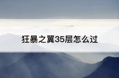 狂暴之翼35层怎么过