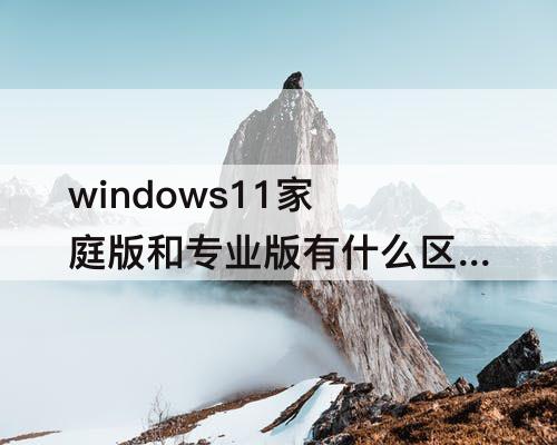 windows11家庭版和专业版有什么区别