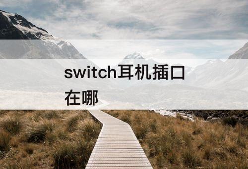 switch耳机插口在哪