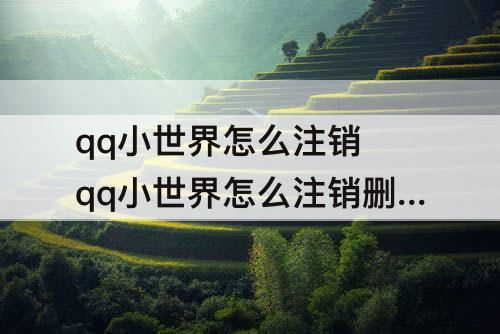 qq小世界怎么注销 qq小世界怎么注销删除