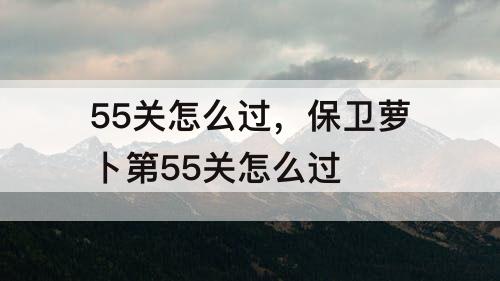 55关怎么过，保卫萝卜第55关怎么过