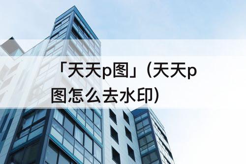 「天天p图」(天天p图怎么去水印)