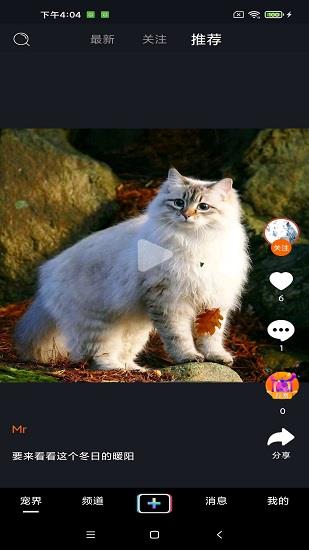 宠艾  v1.5.0图2