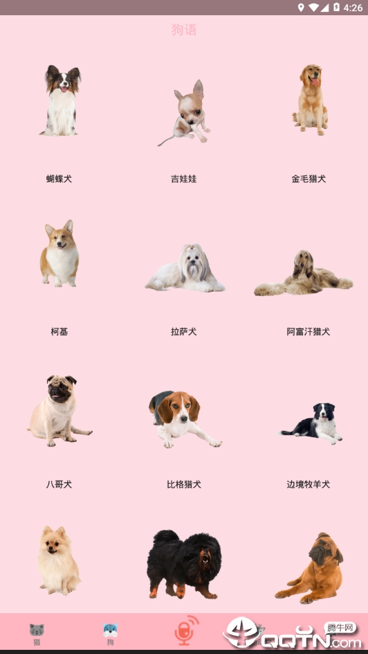 人猫交流器狗语  v3.2.1图2