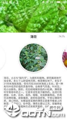 森林百科  v2.0.7图2