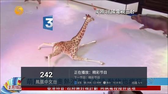 水星tv盒子版  v6.2.0图3
