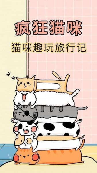 疯狂猫咪