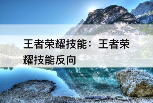 王者荣耀技能：王者荣耀技能反向