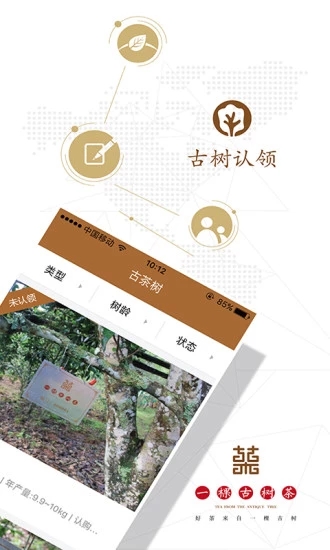 一棵古树茶  v2.1.4图4