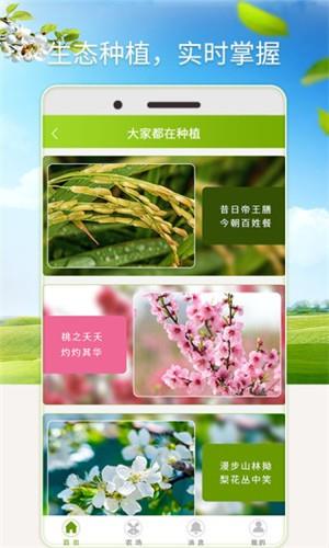 淘气米  v1.0图3
