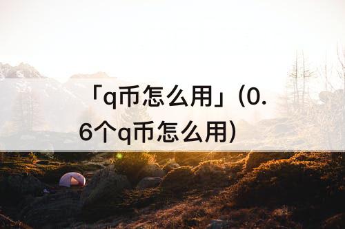 「q币怎么用」(0.6个q币怎么用)
