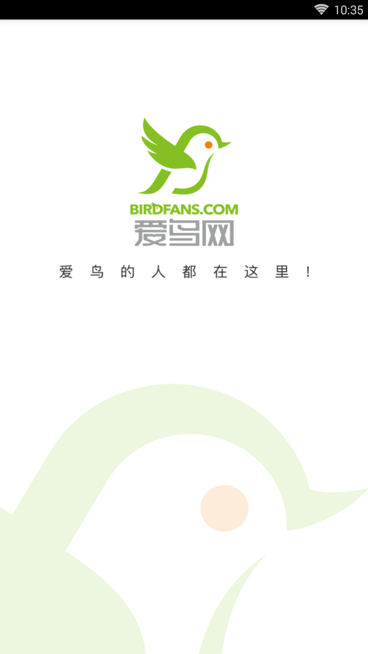 爱鸟