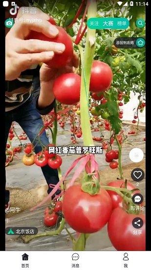 彼方短视频最新版