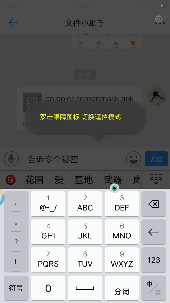 隐私蒙面侠